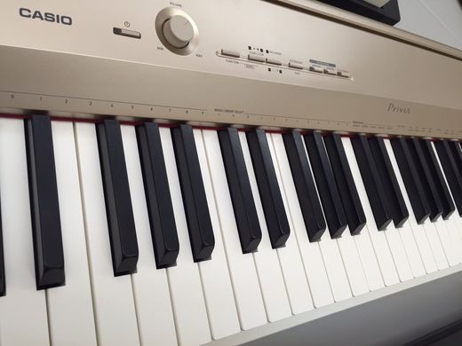 Цифровое фортепиано Casio PX-160GD