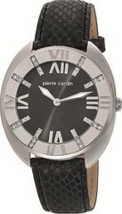 Часы Pierre Cardin PC105272F02