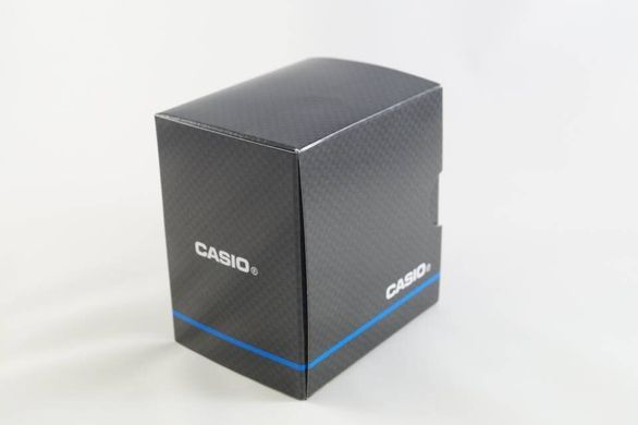 Часы Casio Standard Digital CPA-100-9AVEF