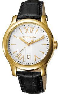 Мужские часы Pierre Cardin PC104121F03