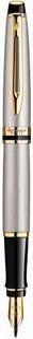 Ручка пір'яна Waterman Expert Stainless Steel GT 10 042