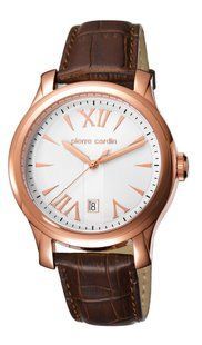 Мужские часы Pierre Cardin PC104121F04