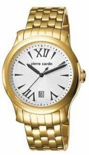 Мужские часы Pierre Cardin PC104121F07