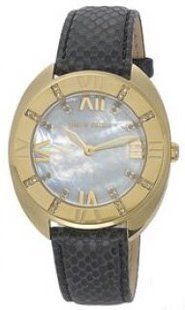 Годинники Pierre Cardin PC105272F03