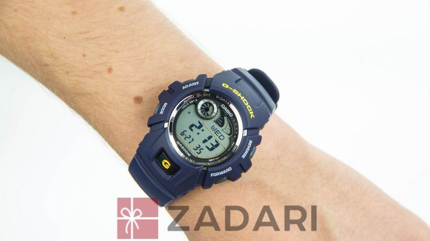 Годинники Casio G-Shock G-2900F-2VER