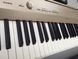 Цифровое фортепиано Casio PX-160GD