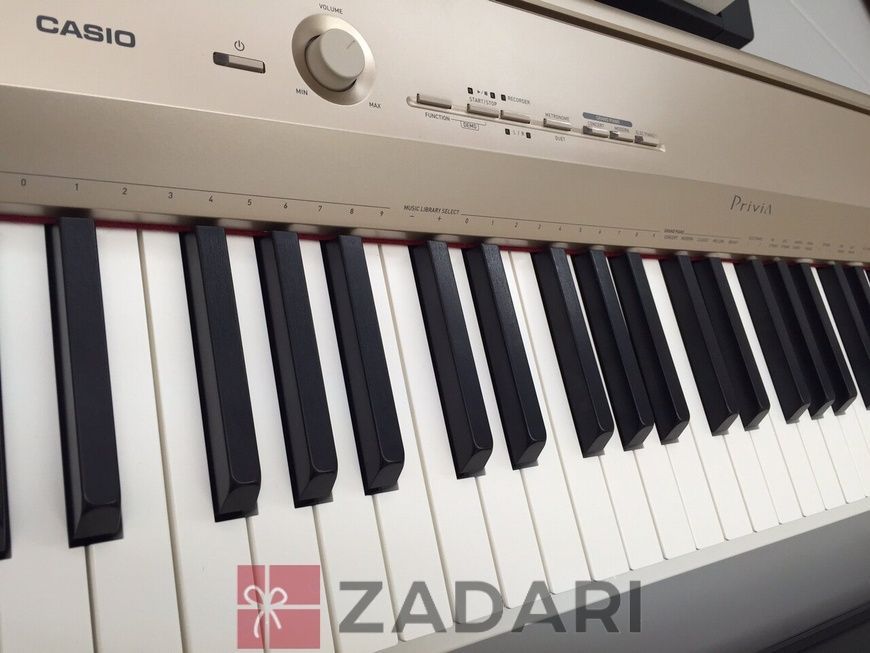 Цифровое фортепиано Casio PX-160GD