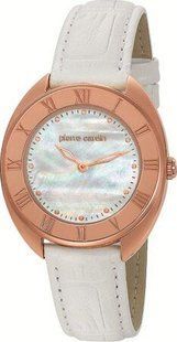 Годинники Pierre Cardin PC104972F09