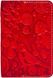 Обложка на паспорт Gato Negro Birds Red GN246