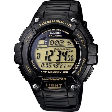 Мужские часы Casio Standard Digital W-S220-9AVEF