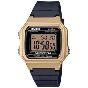 Часы Casio W-217HM-9AVEF
