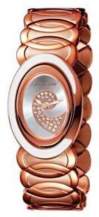 Годинники Pierre Cardin PC101572F01