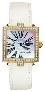 Годинники Pierre Cardin PC67832.115021