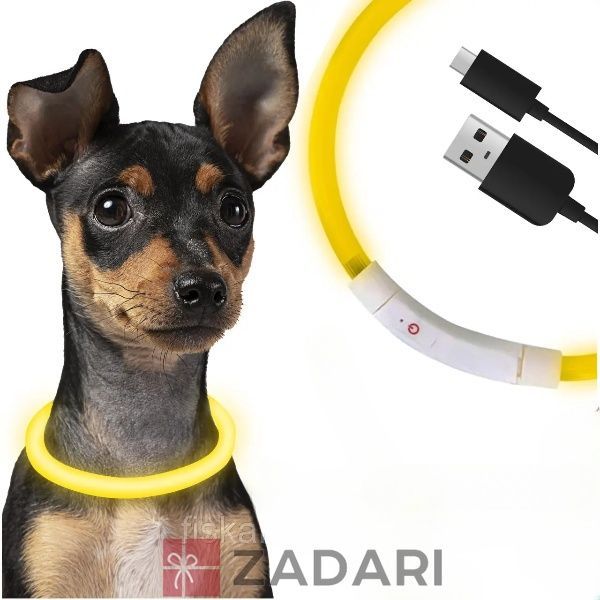 Светодиодный, водостойкий LED ошейник для собак с зарядкой USB размер S,M,L FGH01-JKL03
