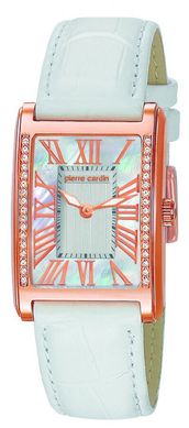 Часы Pierre Cardin PC105172F01