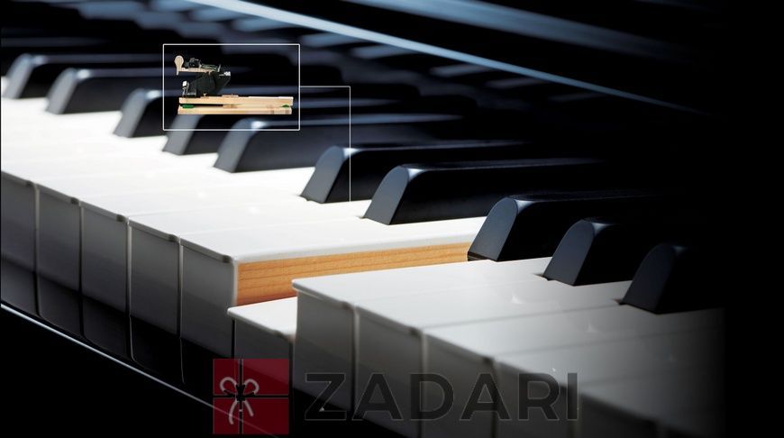 Цифрові піаніно Casio CELVIANO AP-700