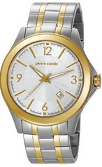 Мужские часы Pierre Cardin PC104871F04