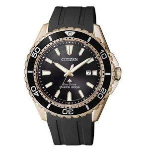 Часы наручные Citizen BN0193-17E