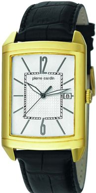 Мужские часы Pierre Cardin PC105331F07