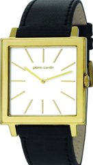 Мужские часы Pierre Cardin PC105351F03